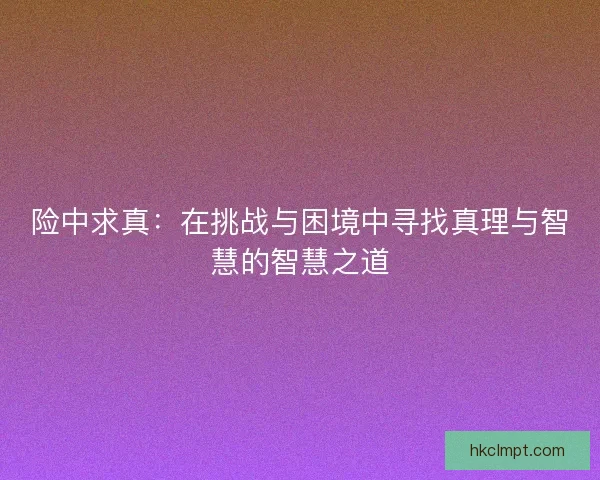 险中求真：在挑战与困境中寻找真理与智慧的智慧之道