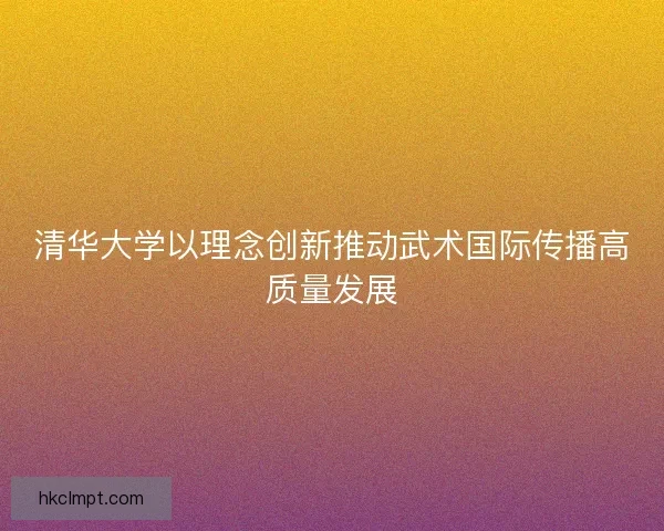 清华大学以理念创新推动武术国际传播高质量发展 清华大学以理念创新推动武术国际传播高质量发展